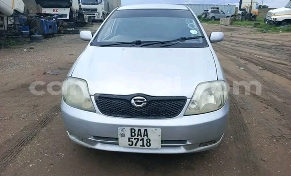 Acheter Occasion Voiture Toyota Runx Autre à Lusaka, Zambie Acheter Occasion Voiture Toyota Runx Autre à Lusaka, Zambie