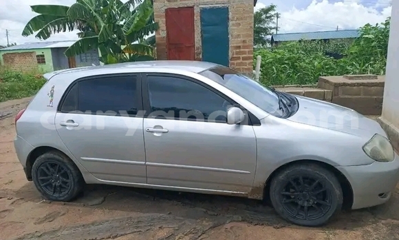 Acheter Occasion Voiture Toyota Runx Autre à Lusaka, Zambie Acheter Occasion Voiture Toyota Runx Autre à Lusaka, Zambie