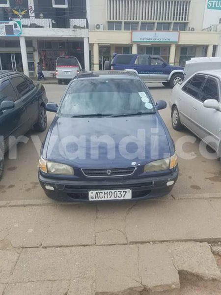 Big with watermark 55549734 2044163105710271 8833725774763655168 n