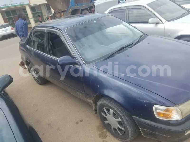 Big with watermark 55476620 2044163085710273 4703350846841159680 n