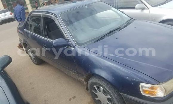 Buy Used Toyota Corolla Blue Car in Kitwe in Zambia Buy Used Toyota Corolla Blue Car in Kitwe in Zambia