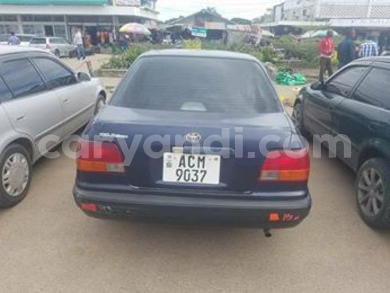 Big with watermark 55609058 2044163065710275 5431871686444056576 n