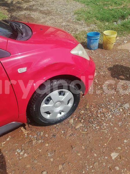 Big with watermark 55471895 2044159229043992 2231771264492503040 n