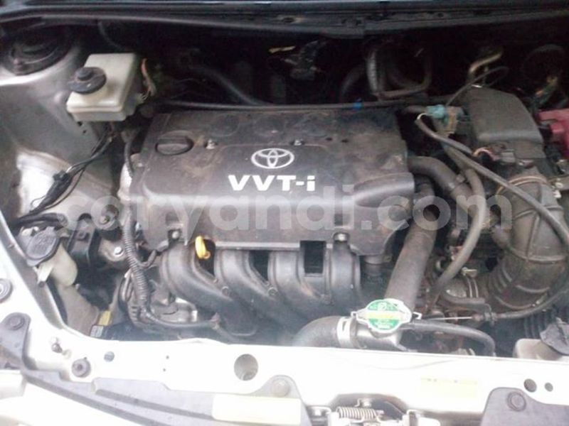 Big with watermark 53803674 2038432239616691 8458776993838661632 n