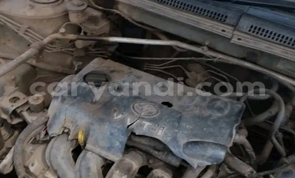 Buy Used Toyota Corolla Other Car in Lusaka in Zambia