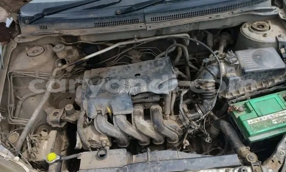 Acheter Occasion Voiture Toyota Corolla Autre à Lusaka, Zambie Acheter Occasion Voiture Toyota Corolla Autre à Lusaka, Zambie