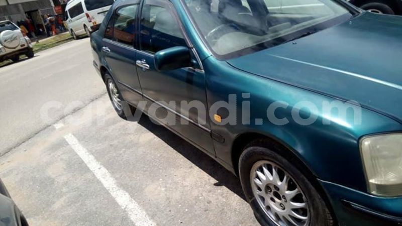 Big with watermark 55539182 2038428312950417 1925987670534651904 n