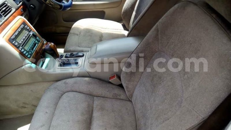 Big with watermark 55576935 2038428379617077 6586348677881659392 n