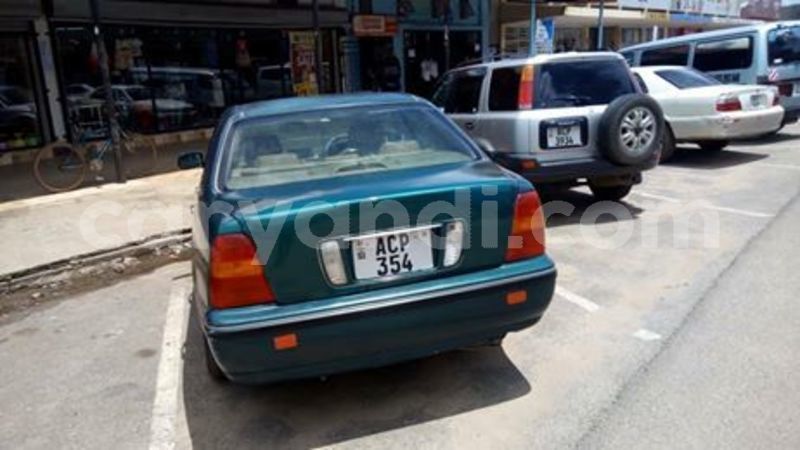 Big with watermark 55760095 2038428212950427 8075701451889836032 n