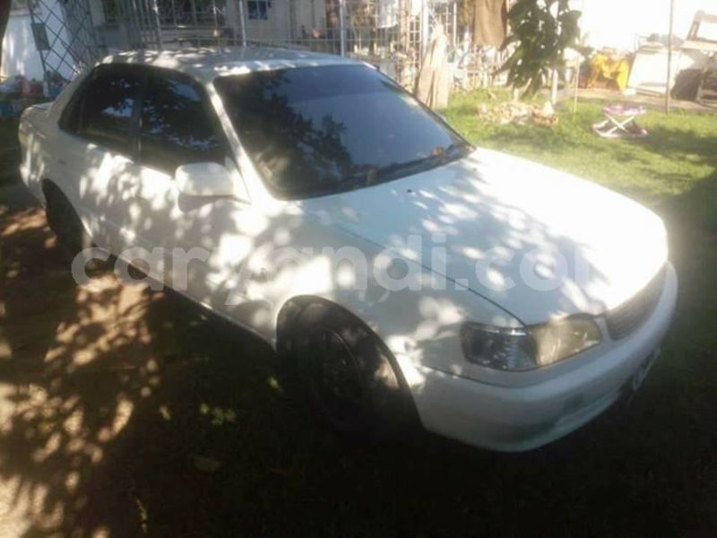 Big with watermark 55875466 2038425616284020 5503347776269844480 n