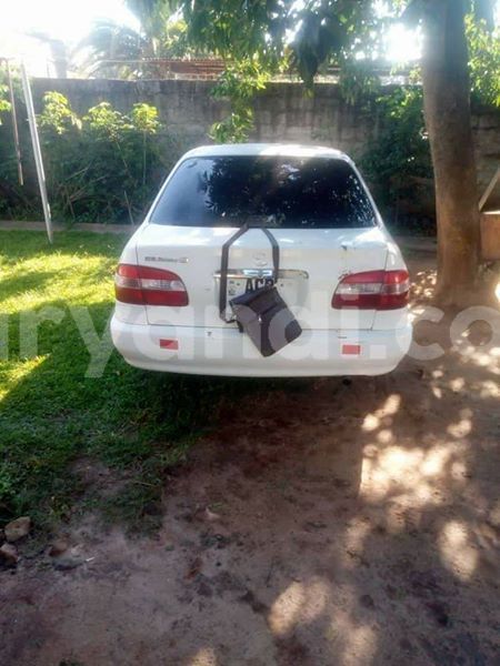 Big with watermark 54518371 2038425596284022 2511074856062156800 n