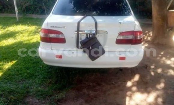 Buy Used Toyota Corolla White Car in Kitwe in Zambia Buy Used Toyota Corolla White Car in Kitwe in Zambia