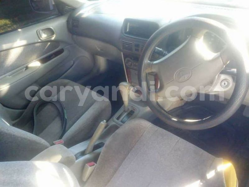 Big with watermark 54730415 2038425519617363 782592085562753024 n