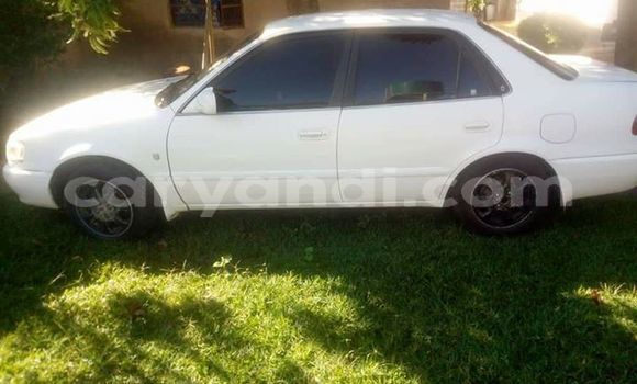 Buy Used Toyota Corolla White Car in Kitwe in Zambia Buy Used Toyota Corolla White Car in Kitwe in Zambia