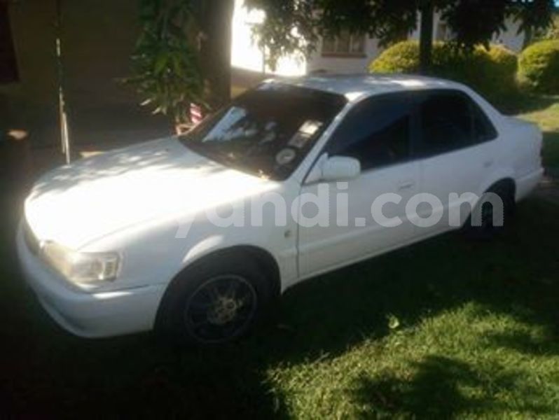 Big with watermark 55549793 2038425222950726 8148670919024312320 n