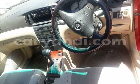 Buy Used Toyota Runx Red Car in Kitwe in Zambia Buy Used Toyota Runx Red Car in Kitwe in Zambia