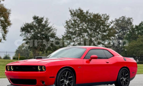 Buy Used Dodge Challenger Red Car in Lusaka in Zambia Buy Used Dodge Challenger Red Car in Lusaka in Zambia