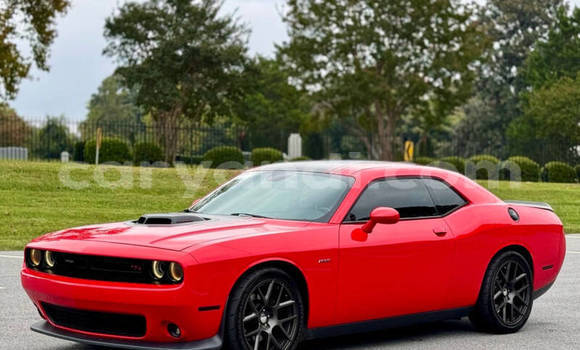 Buy Used Dodge Challenger Red Car in Lusaka in Zambia Buy Used Dodge Challenger Red Car in Lusaka in Zambia