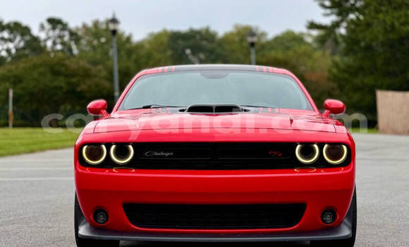 Buy Used Dodge Challenger Red Car in Lusaka in Zambia Buy Used Dodge Challenger Red Car in Lusaka in Zambia
