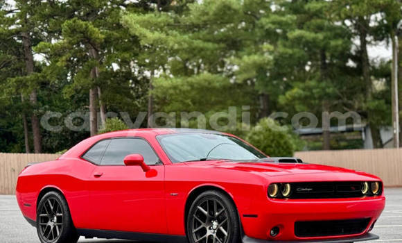 Buy Used Dodge Challenger Red Car in Lusaka in Zambia Buy Used Dodge Challenger Red Car in Lusaka in Zambia