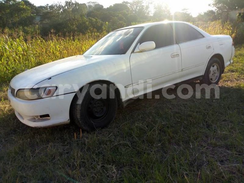 Big with watermark 53489176 2038393986287183 5371809897409150976 n