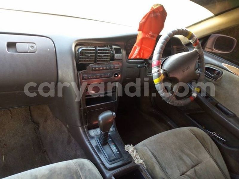 Big with watermark 54434270 2038394022953846 5428486010969260032 n