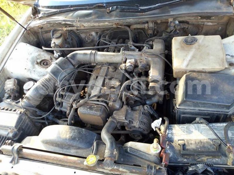 Big with watermark 55704692 2038393946287187 5123876184328765440 n