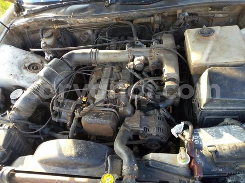 Big with watermark 54524001 2038393916287190 2662072566021095424 n