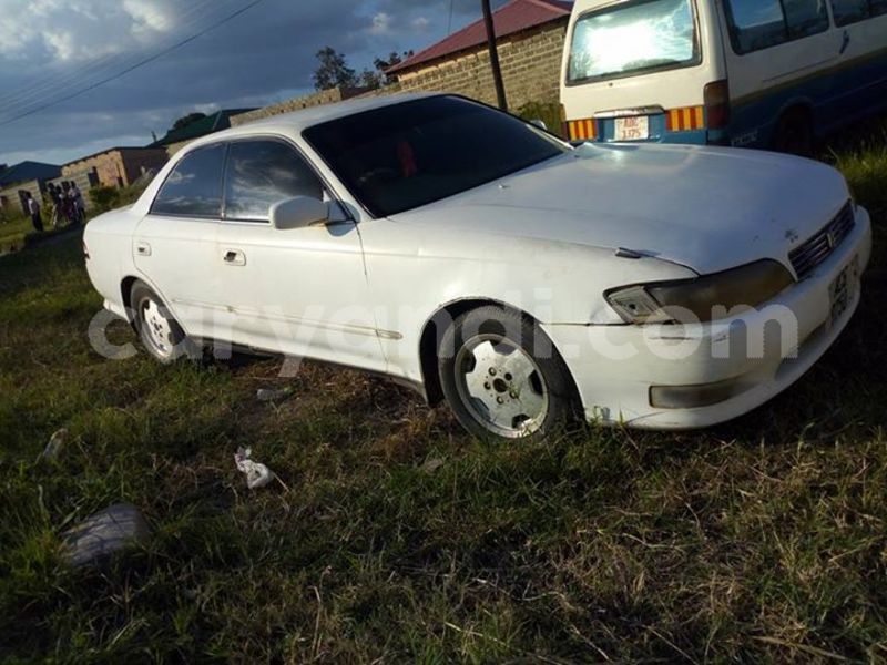 Big with watermark 54798982 2038393842953864 4434373988738662400 n