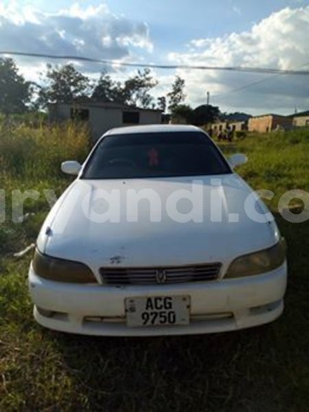 Big with watermark 54729398 2038393812953867 3725357639303954432 n