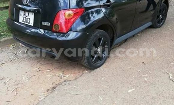 Buy Used Toyota IST Black Car in Kitwe in Zambia Buy Used Toyota IST Black Car in Kitwe in Zambia