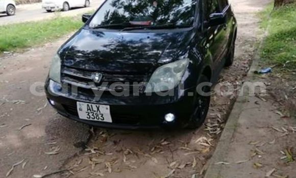 Buy Used Toyota IST Black Car in Kitwe in Zambia Buy Used Toyota IST Black Car in Kitwe in Zambia
