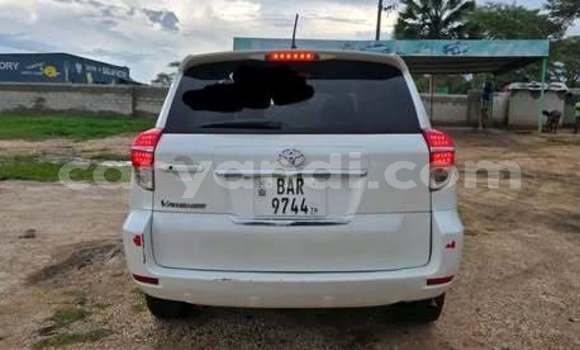 Buy Used Toyota Vanguard Other Car in Lusaka in Zambia Buy Used Toyota Vanguard Other Car in Lusaka in Zambia