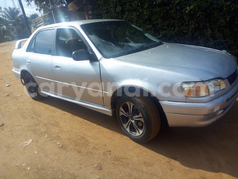 Big with watermark 53570985 2023041517822430 4819590043603566592 n