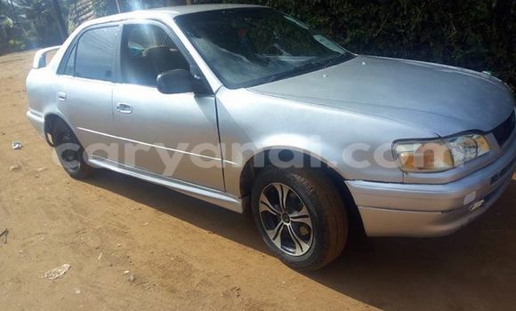 Buy Used Toyota Corolla Silver Car in Kitwe in Zambia Buy Used Toyota Corolla Silver Car in Kitwe in Zambia