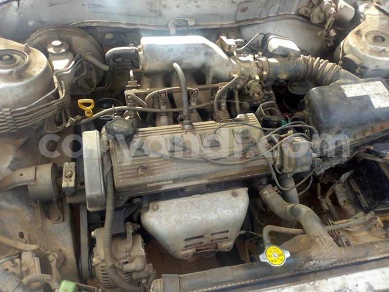 Big with watermark 53264623 2023041547822427 7596160880048340992 n