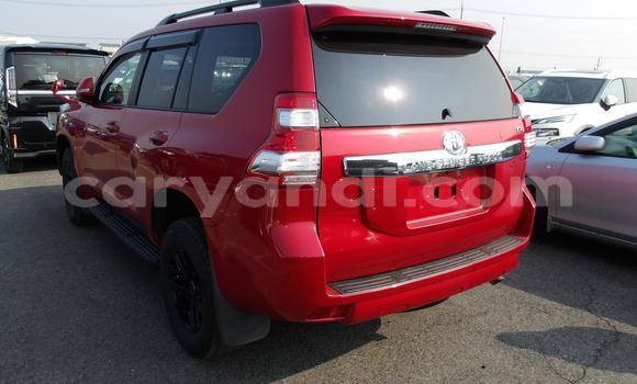 Buy Used Toyota Land Cruiser Prado Red Car in Livingstone in Zambia Buy Used Toyota Land Cruiser Prado Red Car in Livingstone in Zambia