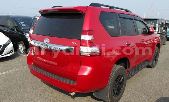 Buy Used Toyota Land Cruiser Prado Red Car in Solwezi in North-Western Buy Used Toyota Land Cruiser Prado Red Car in Solwezi in North-Western