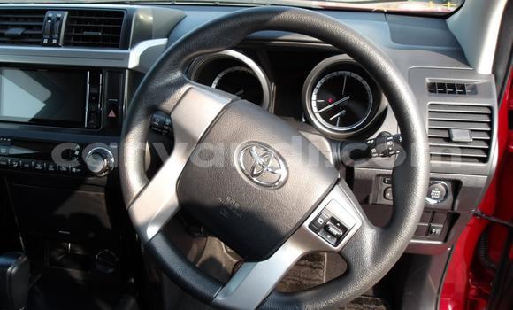 Buy Used Toyota Land Cruiser Prado Red Car in Solwezi in North-Western Buy Used Toyota Land Cruiser Prado Red Car in Solwezi in North-Western