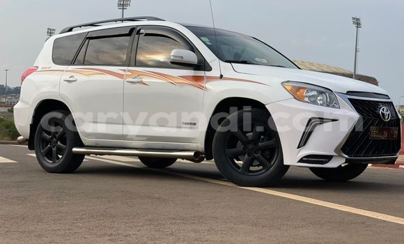 Tenga Tsaru Toyota RAV4 Chena Mota in Lusaka in Zambia Tenga Tsaru Toyota RAV4 Chena Mota in Lusaka in Zambia