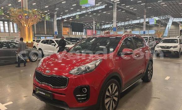 Tenga Tsaru Kia Sportage Tsvuku Mota in Lusaka in Zambia