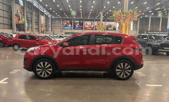 Buy Used Kia Sportage Red Car in Lusaka in Zambia Buy Used Kia Sportage Red Car in Lusaka in Zambia