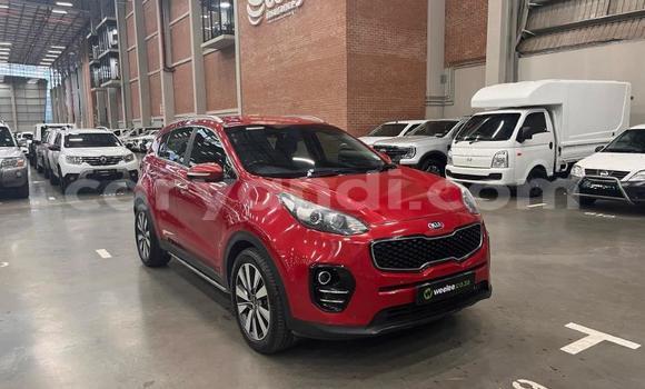 Buy Used Kia Sportage Red Car in Lusaka in Zambia Buy Used Kia Sportage Red Car in Lusaka in Zambia