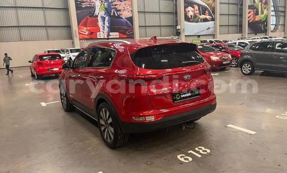 Buy Used Kia Sportage Red Car in Lusaka in Zambia Buy Used Kia Sportage Red Car in Lusaka in Zambia