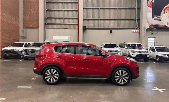 Buy Used Kia Sportage Red Car in Lusaka in Zambia Buy Used Kia Sportage Red Car in Lusaka in Zambia
