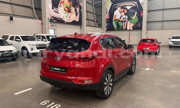 Buy Used Kia Sportage Red Car in Lusaka in Zambia Buy Used Kia Sportage Red Car in Lusaka in Zambia