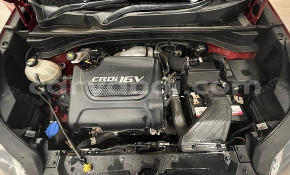 Buy Used Kia Sportage Red Car in Lusaka in Zambia Buy Used Kia Sportage Red Car in Lusaka in Zambia