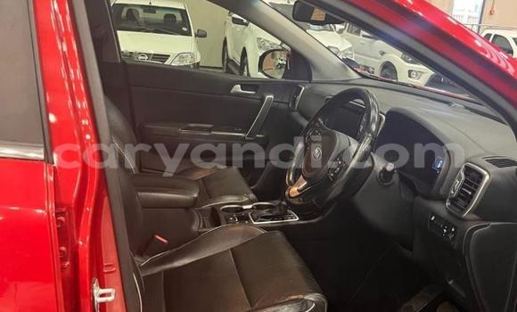 Buy Used Kia Sportage Red Car in Lusaka in Zambia Buy Used Kia Sportage Red Car in Lusaka in Zambia
