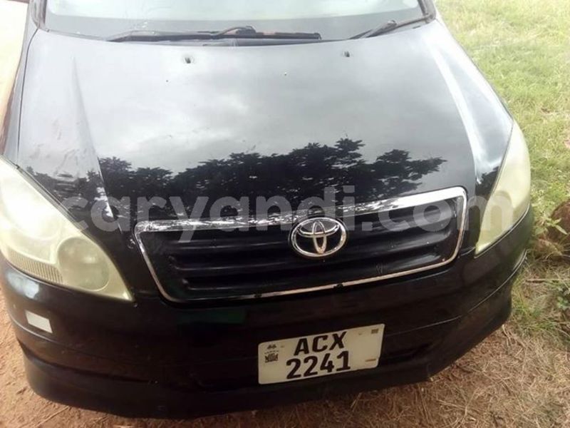 Big with watermark 53844238 2019804874812761 5457351296459735040 n