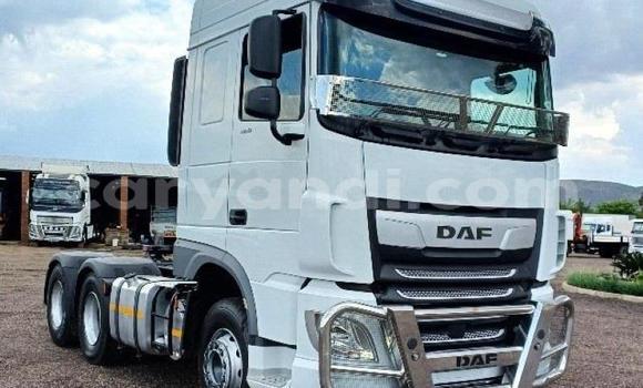 Buy Used DAF CF White Truck in Lusaka in Zambia